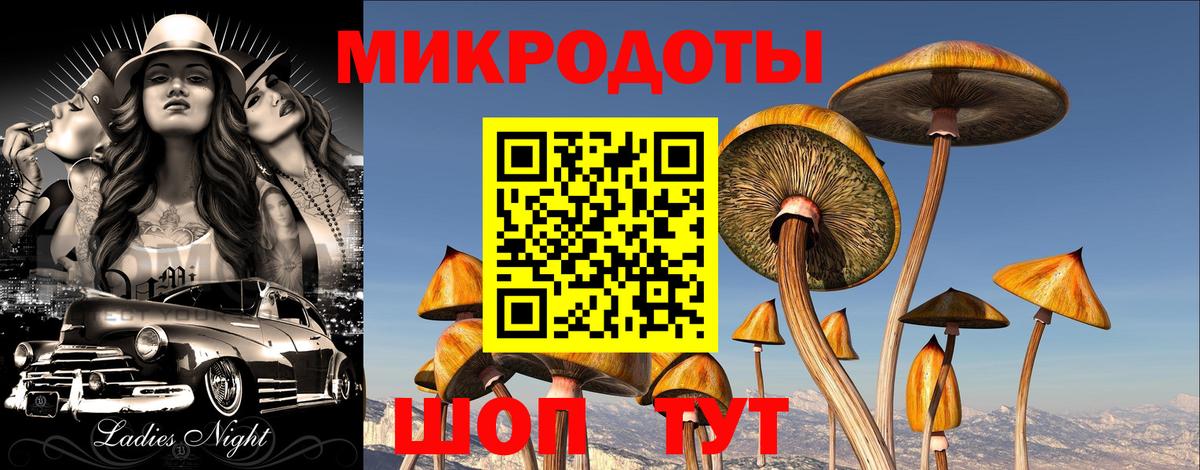 Псилоцибиновые грибы Magic Shrooms  Псилоцибиновые грибы Psilocybine cubensis  как найти закладки  Вход с VPN  Янаул 